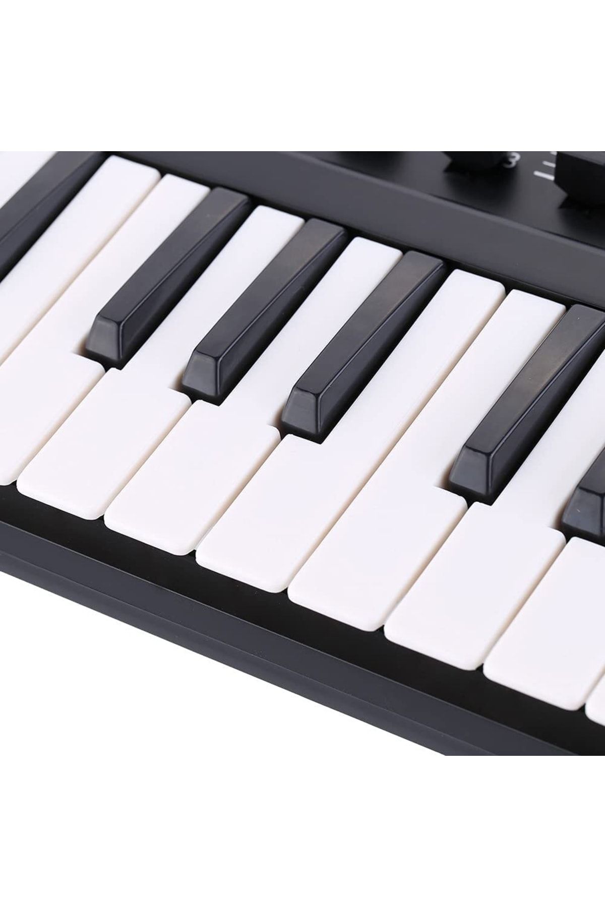 Worlde Panda Mini 25 Tu Midi Klavye Fiyat Yorumlar Trendyol