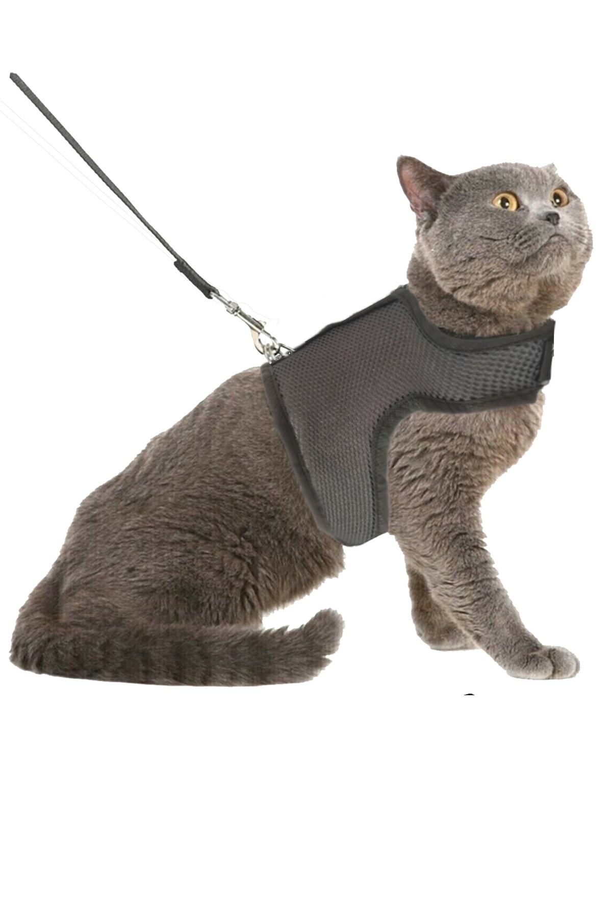 NiCe Shop Kaçış Önleyici Nefes Alabilen Yüzey Kedi Gezdirme Göğüs Tasma Seti Gri Medium Beden