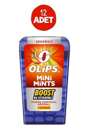 Mini Mints Mango Portakal Aromalı 12,5 gr 12 Adet SET.MONDELEZ.370