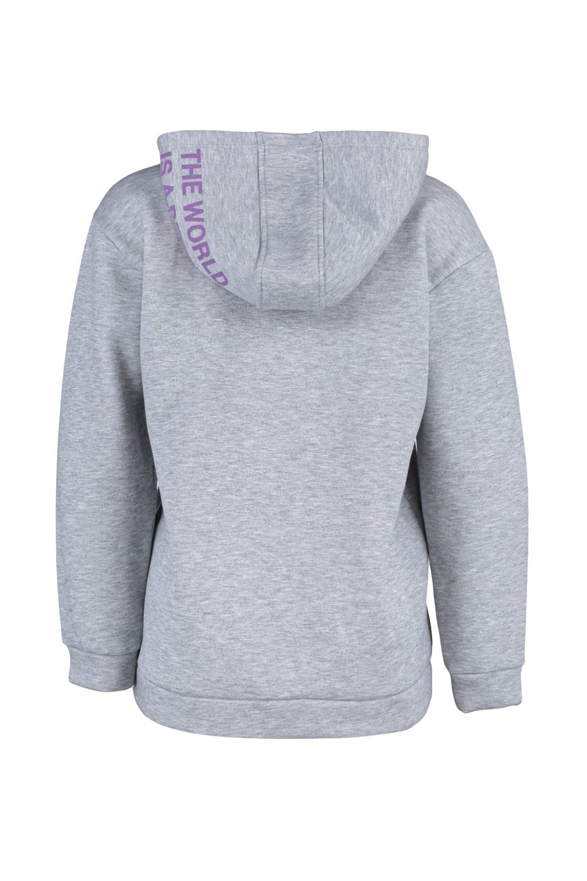 Trendyol Collection-Gray Printed Raised Thick Fleece Inside Knitted Sweatshirt TWOAW22SW0709 8