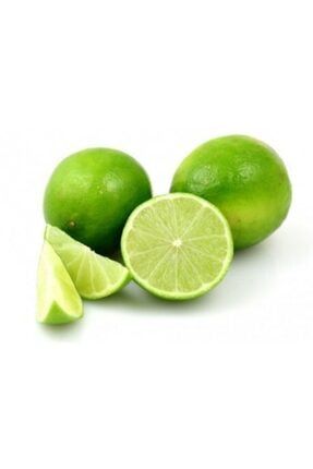 Lima Verde- Tatlı Lime Limon Fidanı Nadir Çeşit 5 Yaşlı Tüplü TAM_70_10478_4317_limaverde62