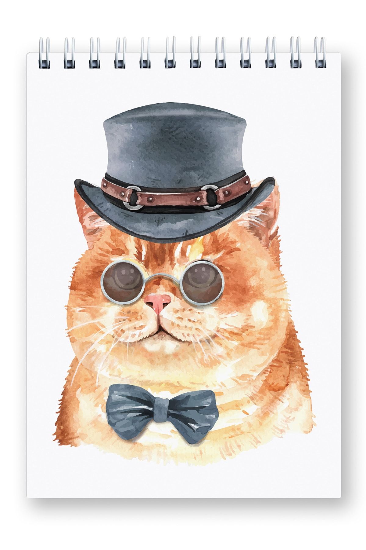 Dede Kedi Online Satis