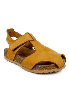 Çocuk Sarı Tek Cırt Casual Sandalet Nu Bebe 256 P 370 256P