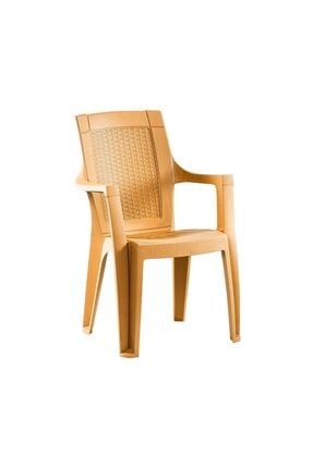 Colizon Gardelia Elegance Plastik Sandalye Antrasit Trendyol