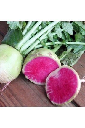Mutlu Paket Aromatik Ici Disi Kirmizi Red Beet Pancar Fidesi 5 Adet Trendyol