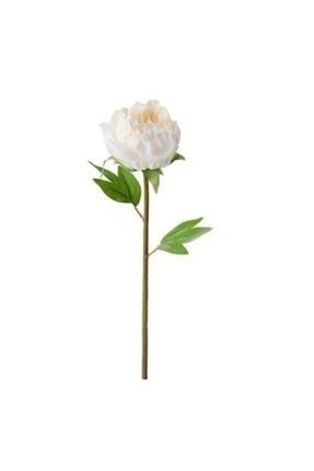 Smycka Yapay Çiçek, Beyaz DPCD-10227
