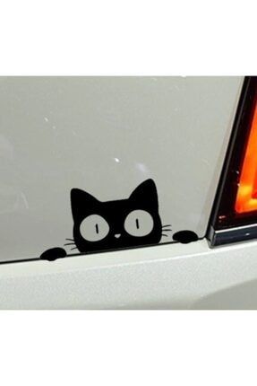 Kedi Oto Araba Sticker Yapıştırma Z1963