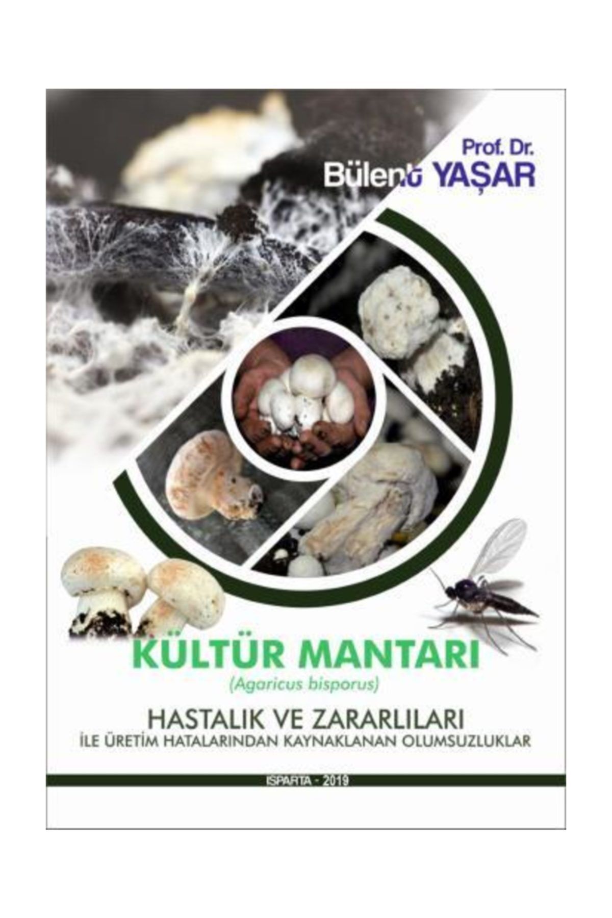 hasad yayincilik kultur mantari