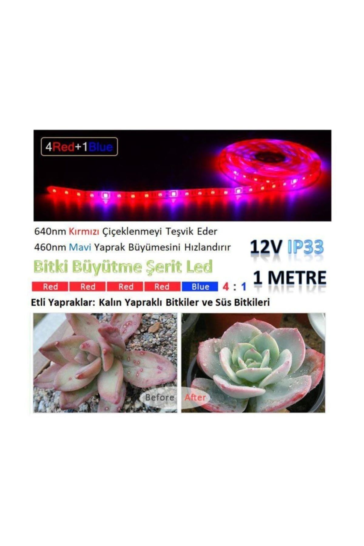 sspec tam spektrum hidrofonik fito sera bitki buyutme 5050 serit led isik 4 kirmizi 1 mavi fiyati yorumlari trendyol