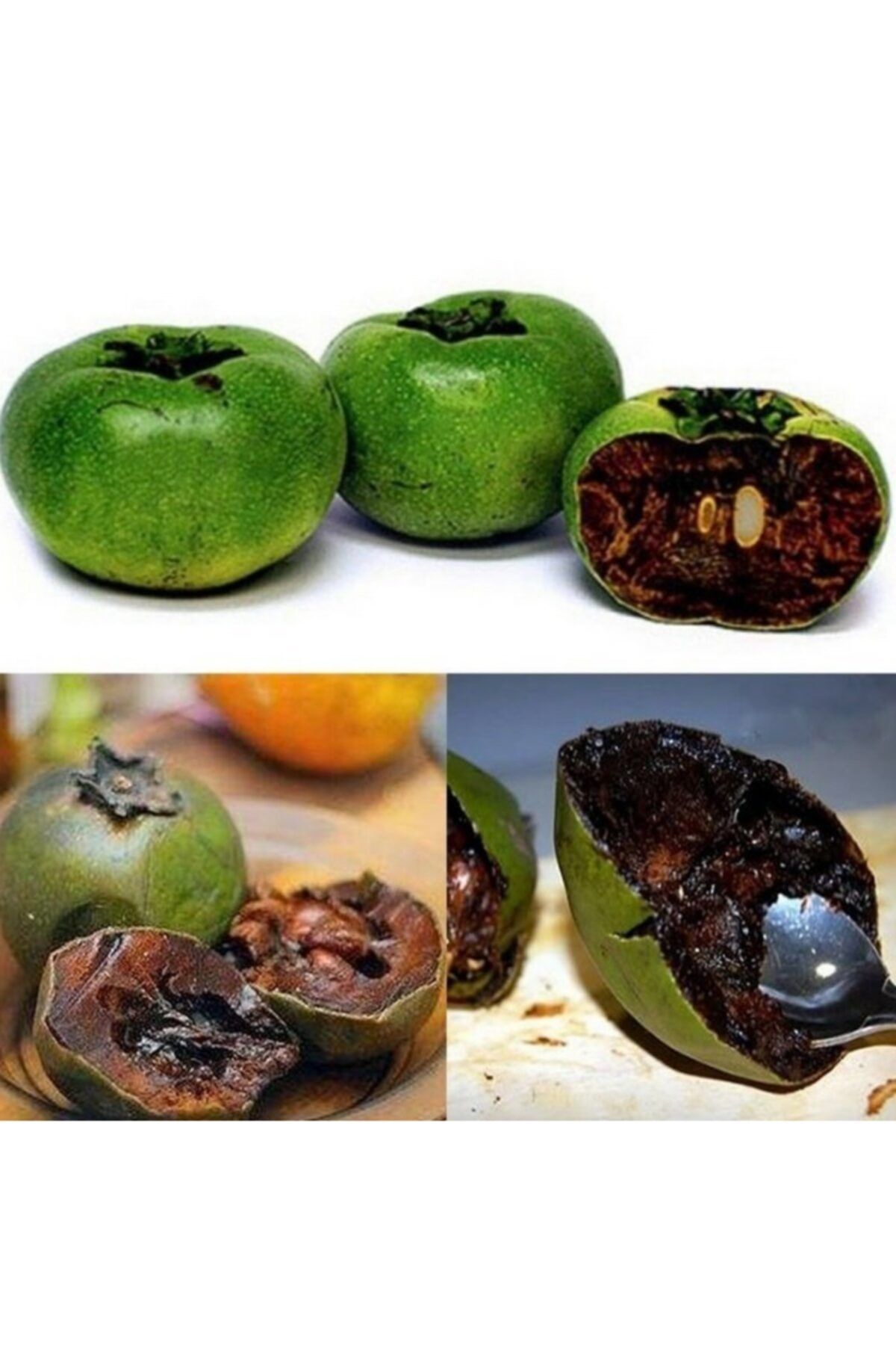 Черная Хурма Купить