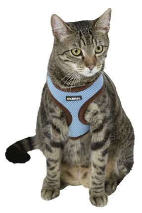 kerbl kedi gogus tasmasi mavi 120cm kayisli fiyati yorumlari trendyol