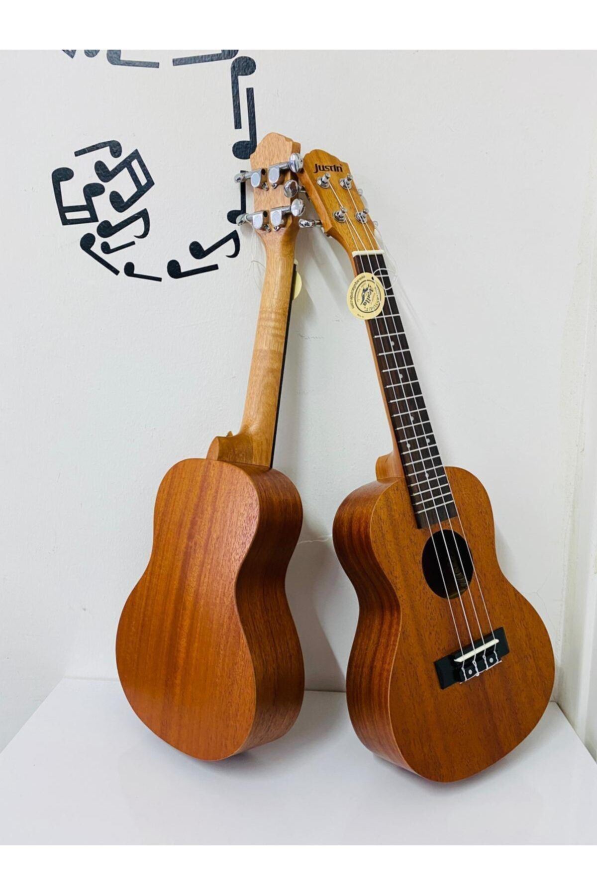 Puka pk3 concert ukulele online