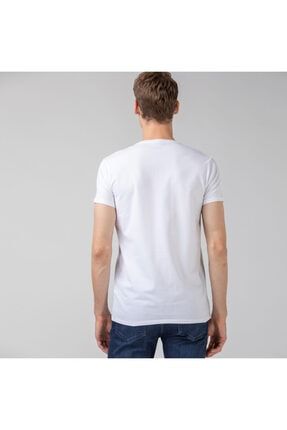 lacoste t shirt trendyol