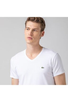 lacoste t shirt trendyol