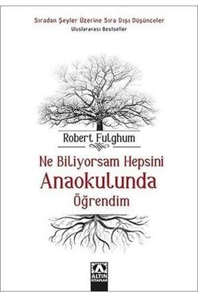 Ne Biliyorsam Hepsini Anaokulunda Öğrendim 9789754051735