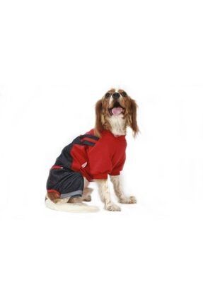 dogstory su gecirmez pet ayakkabisi silikon kedi kopek evcil hayvan botu fiyati yorumlari trendyol