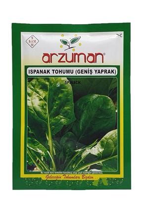 Geniş Yapraklı Ispanak Tohumu 25 gr 0010