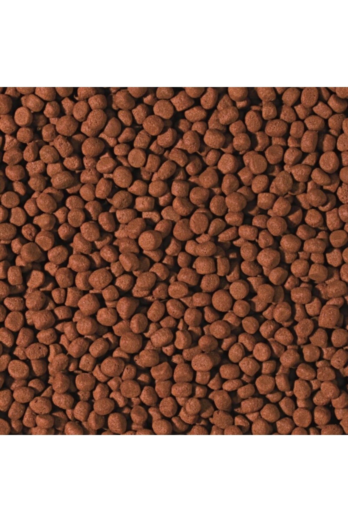 Tropical 250 Gram Cichlid Carnivore Medium Pellet Büyük Granül Balık Yemi