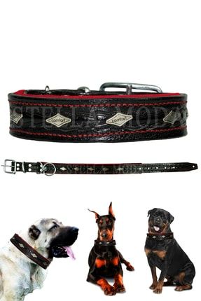 Köpek Boyun Tasması Kaniş Tazı Akbaş Kafkas Dogo Argentino Pekinez 55x3 Kangal Siyah Renk STELLA401