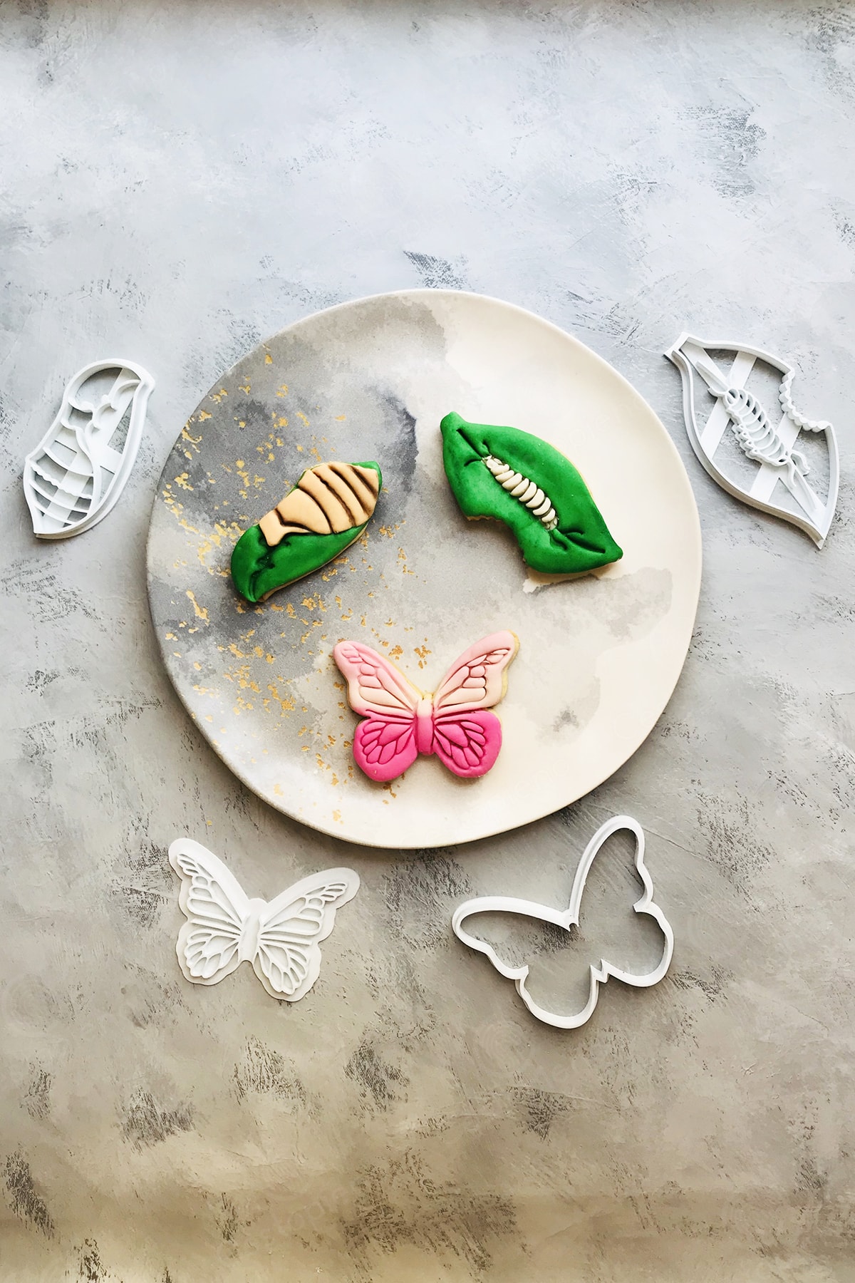 Life Cycle of the Butterfly Set of 3 Dough Shaper / Cookie / Ceramic / Game / Polymer