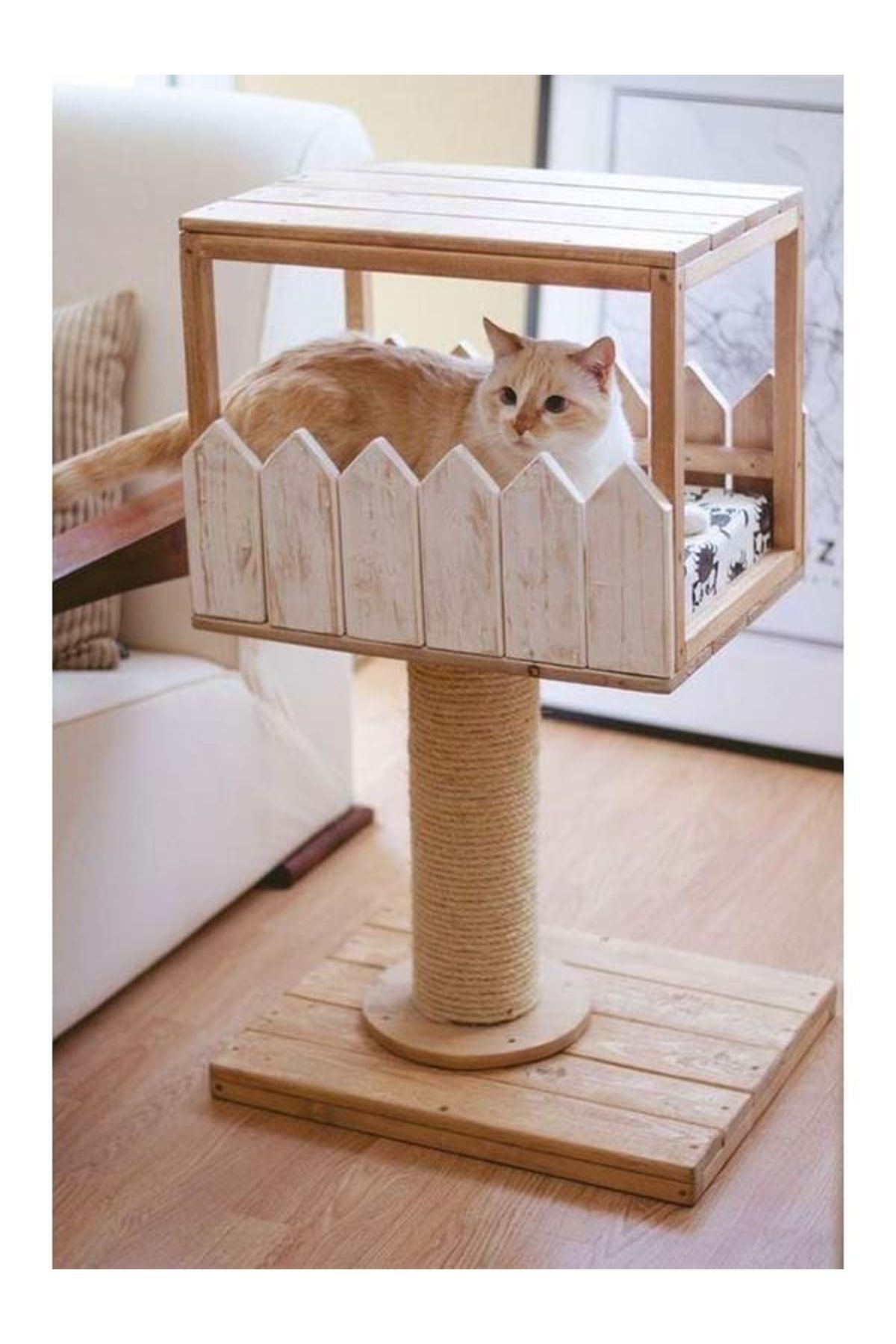 Kedi film 2016  FilmVandaagnl