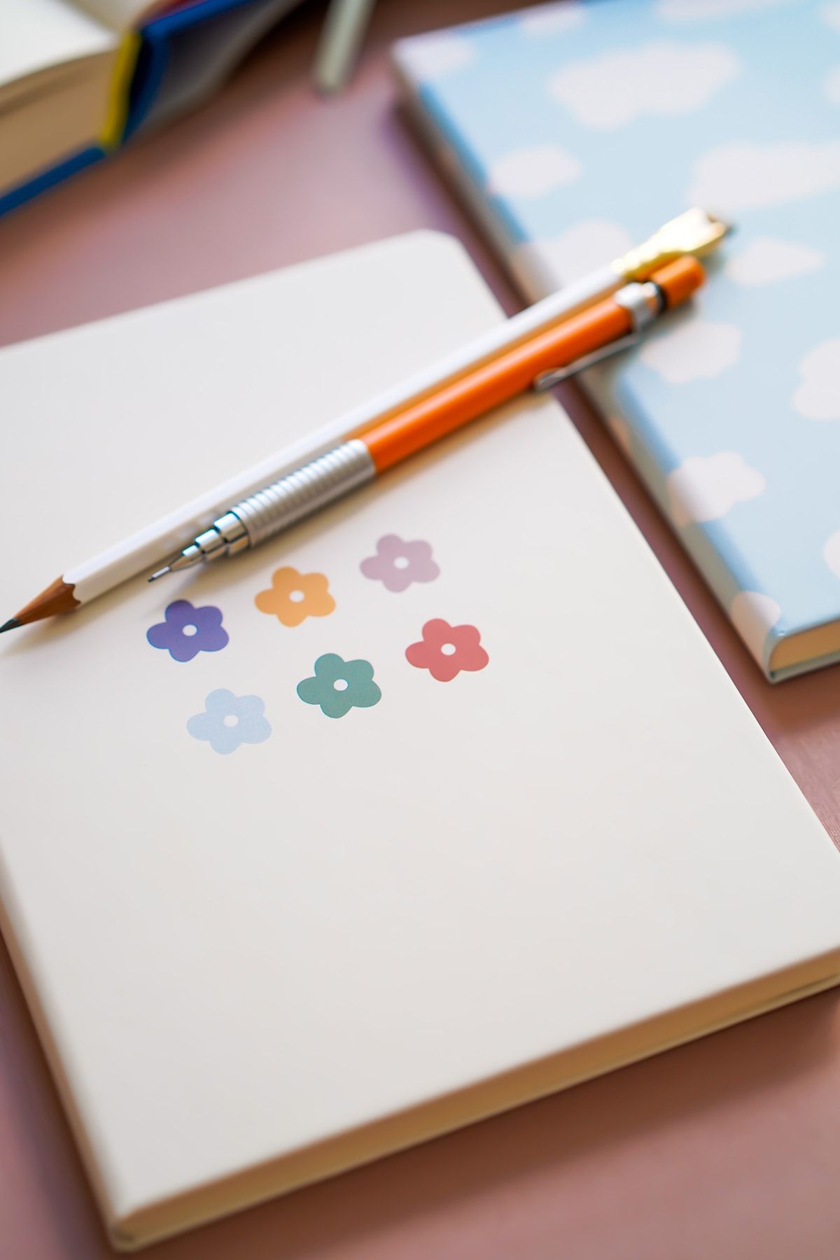 Matt Notebook-A5 Notebook Set of 2 15x21 Cm Dotted Cloud 4