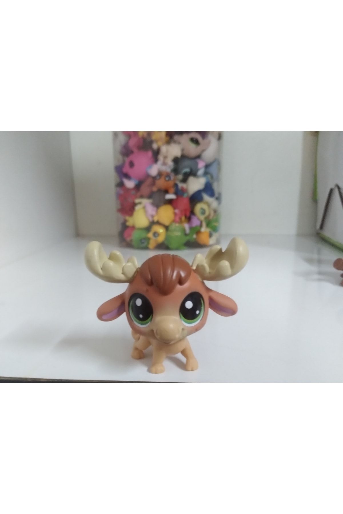 Littlest pet shop shop moose