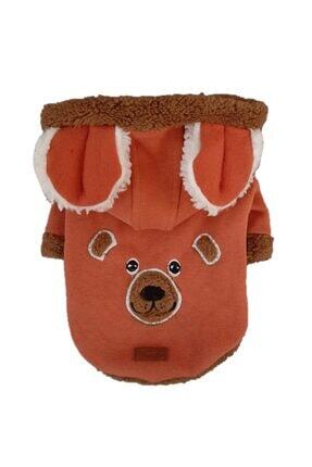 Pawstar Brown Bear Hoodie Kahverengi Ayicik Kedi Kopek Kislik Sweatshirt Kedi Kopek Kiyafeti Trendyol