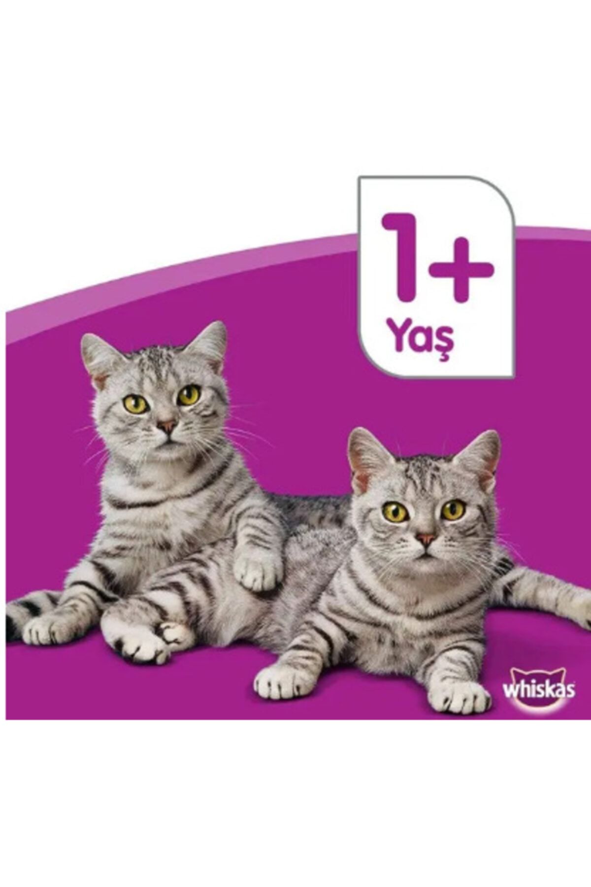 Whiskas Ton Balıklı Yaş Kedi Maması 4x100 gr 13 Adet Fiyatı, Yorumları