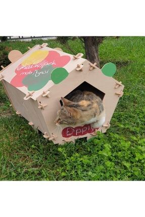 https www trendyol com kedi kopek mobilyasi kutu oyun ssp urunu kedi evi projesi cocuk oyun p 39190233