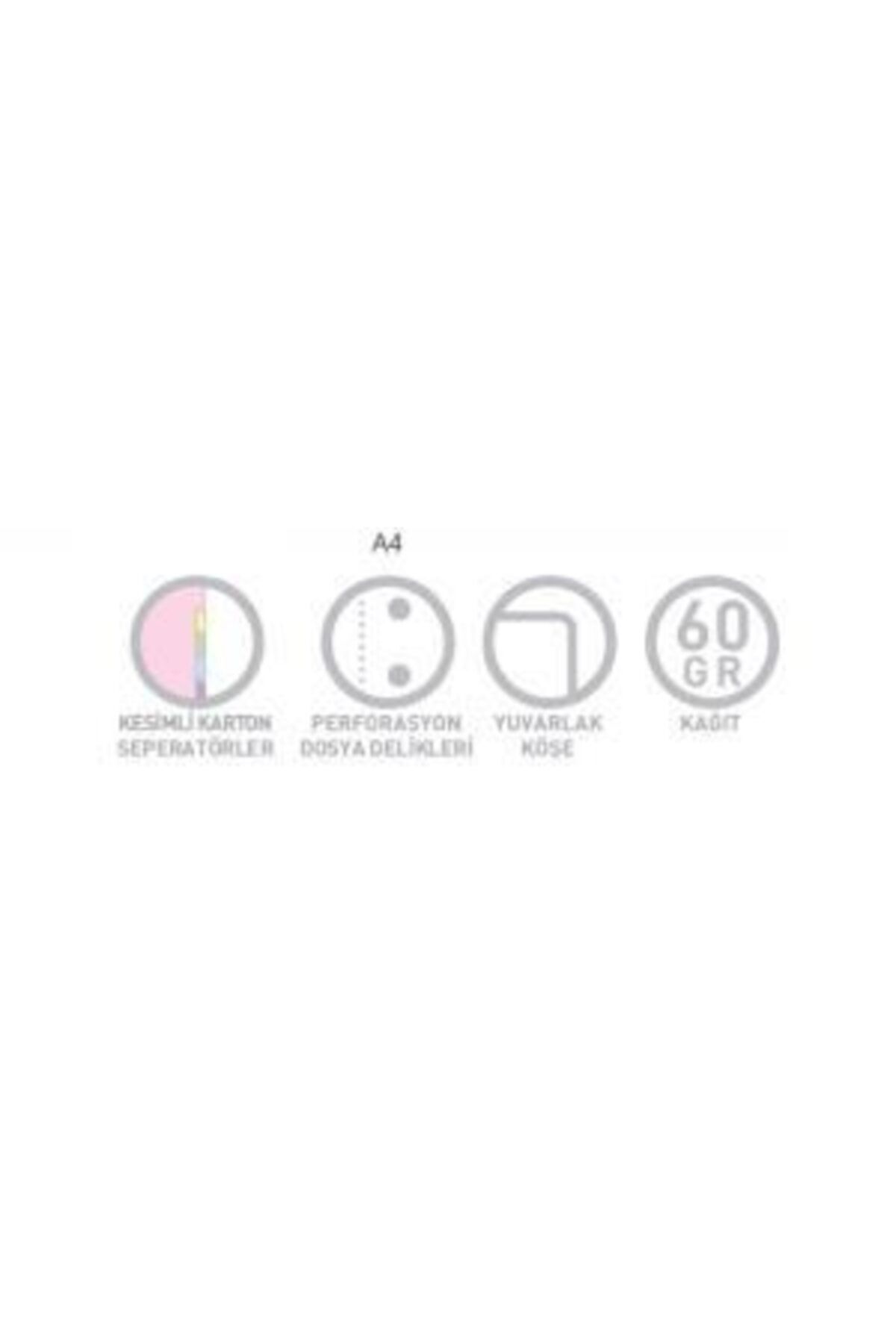Gıpta-Cosmo A4 Spiral 5 Separator PP Cover Notebook 150 Sheets Lined (Pack of 2) 3984 2