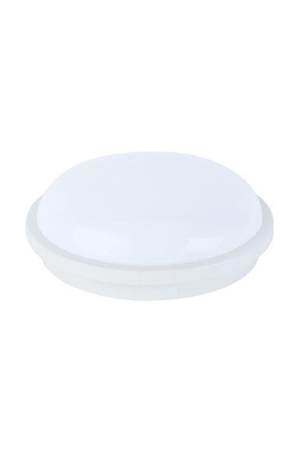 Cock Artos 20watt Led Surface Mounted Moisture Sconce White Light
