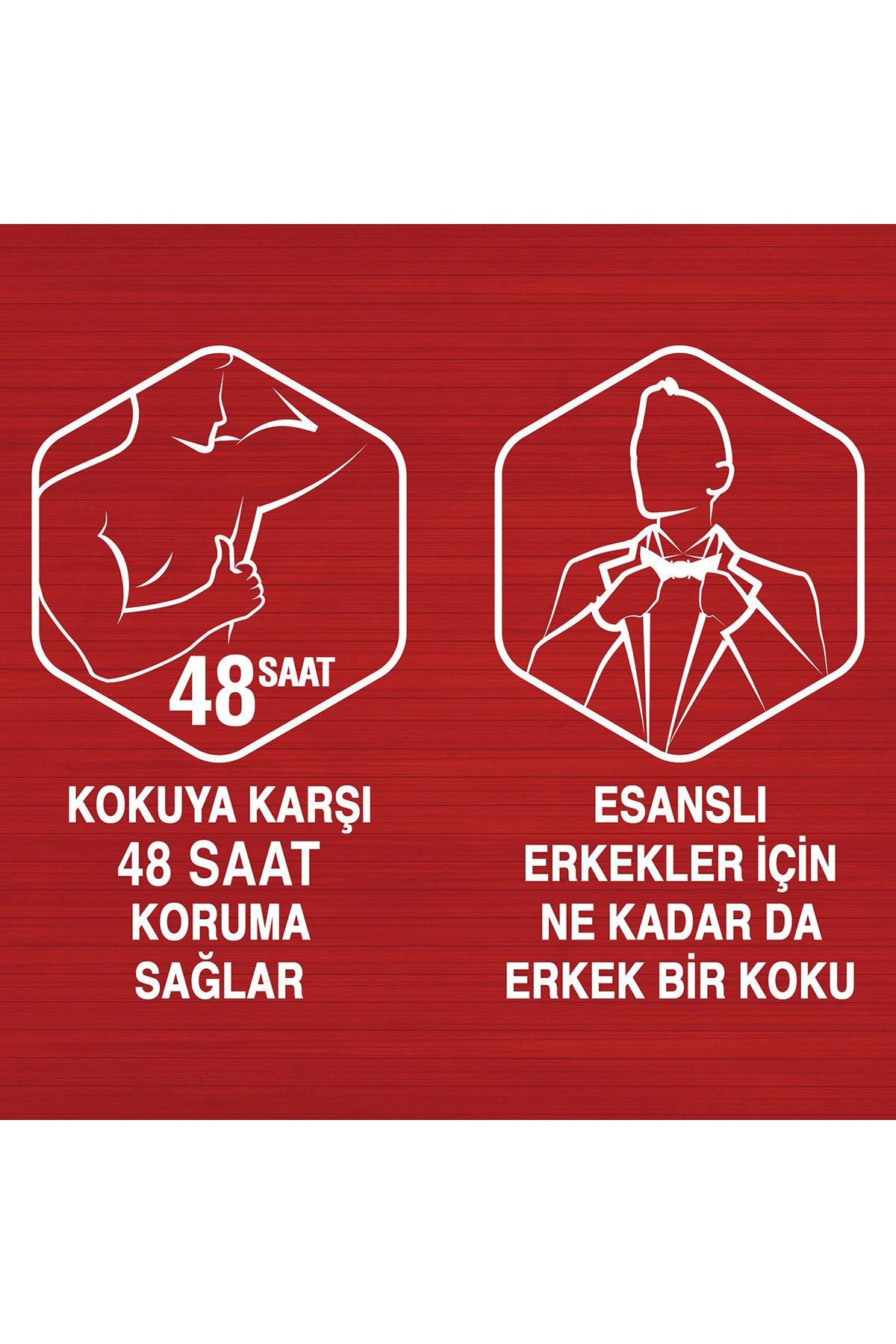 9 org zoom - ترند تهران