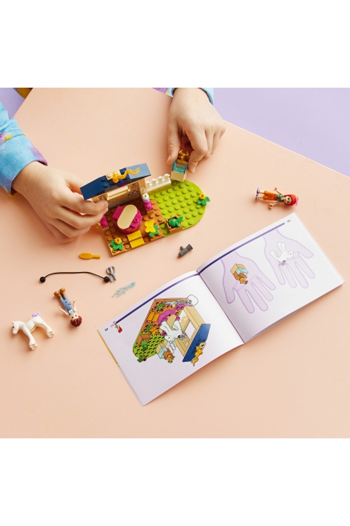 حصار شستشوی پونی (۴۱۶۹۶)