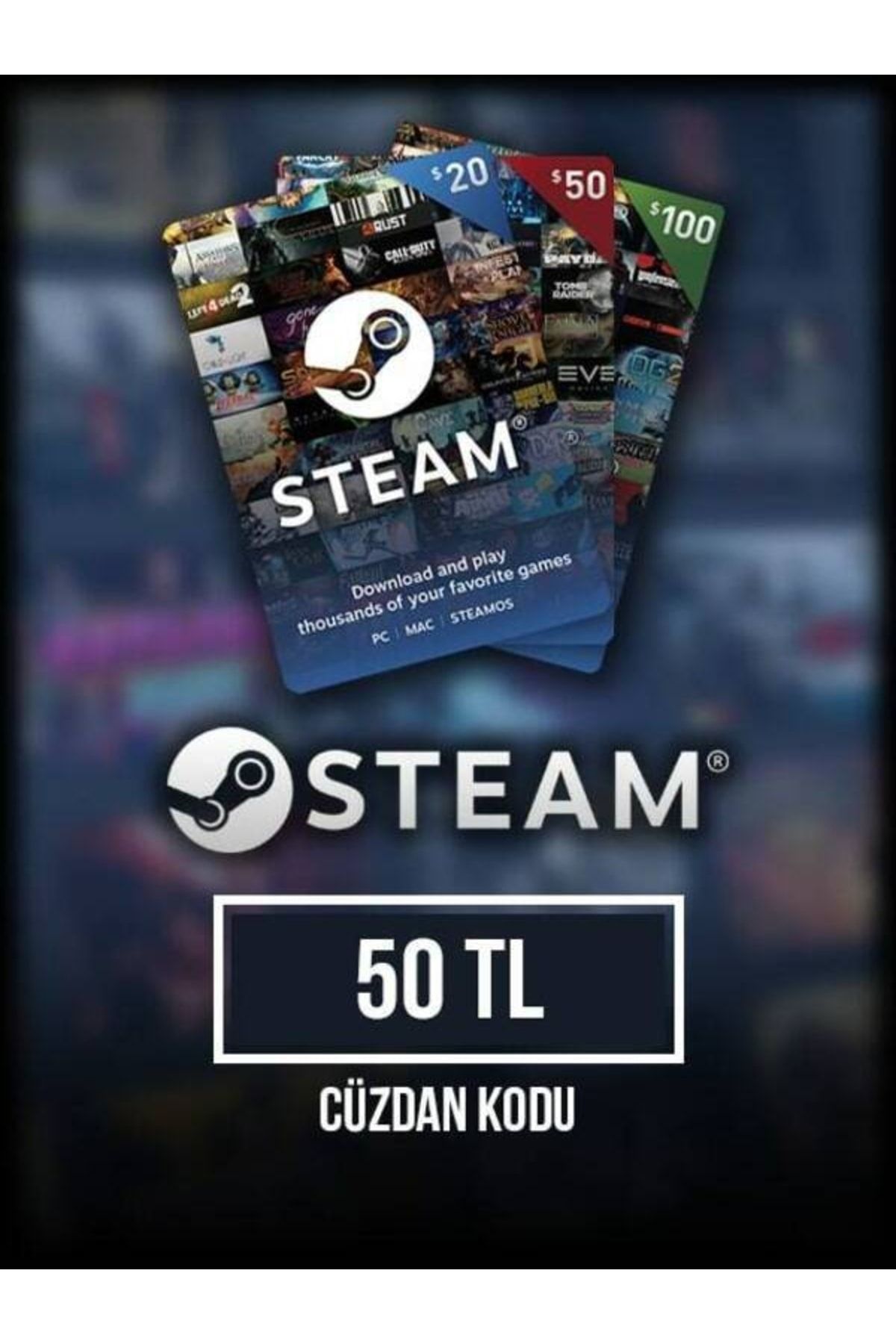 Steam 100 фото 25