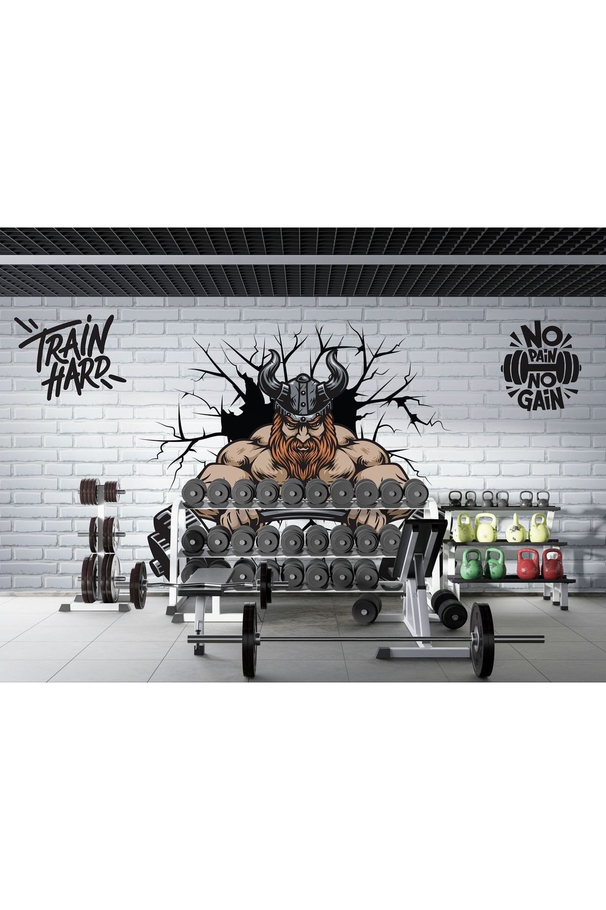 LOTUS AURA-Vikingli Fitness Gym Wallpaper, Vikingli Gym Wall Mural 2