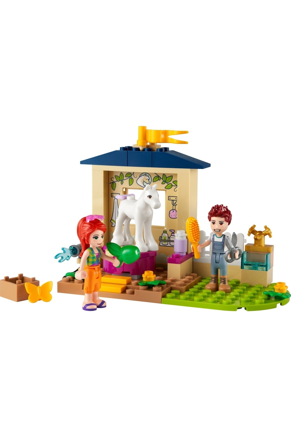 حصار شستشوی پونی (۴۱۶۹۶)