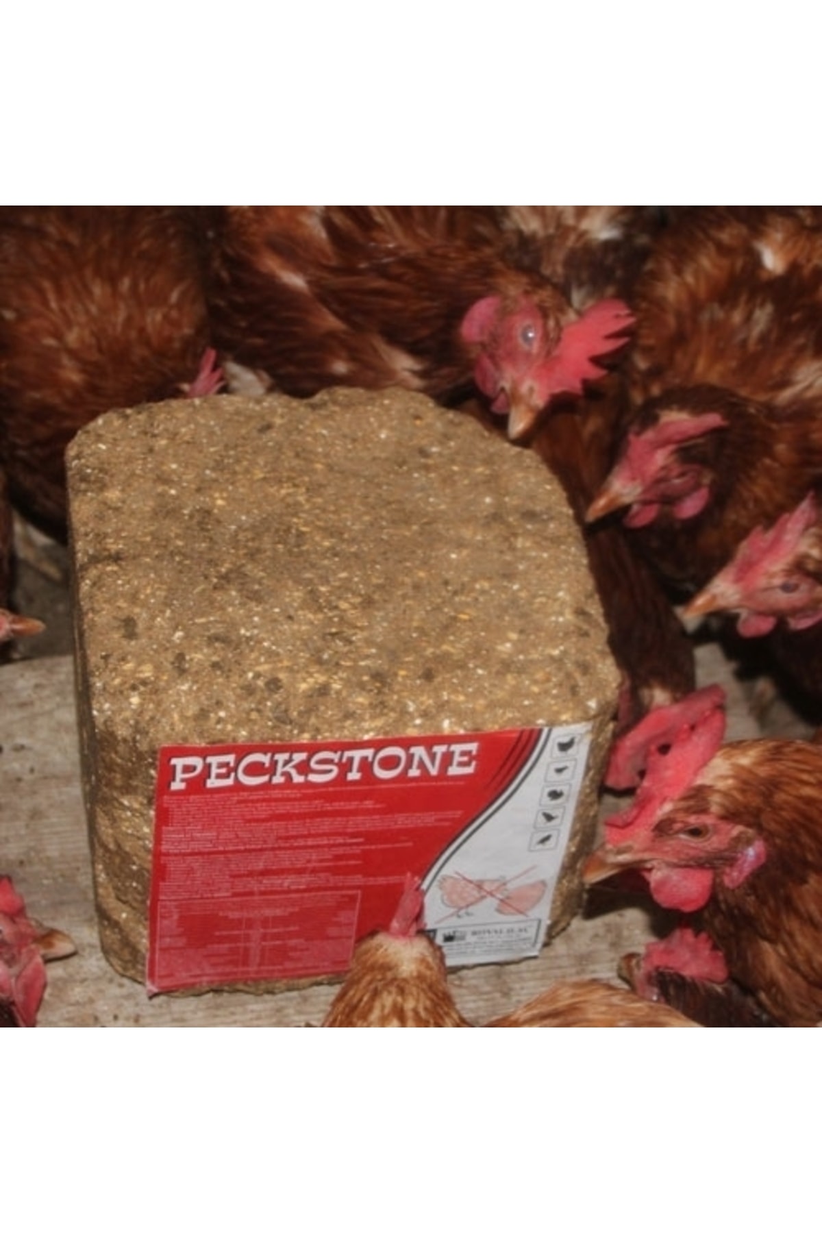 Royal Ilaç Avian Peckstone 4 Kg Kanatlı Hayvanlar Için Gagalama Taşı