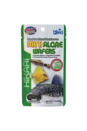 Mini Algae Wafers - Vatoz Ve Kedi Balığı Yemi 22gr 837010