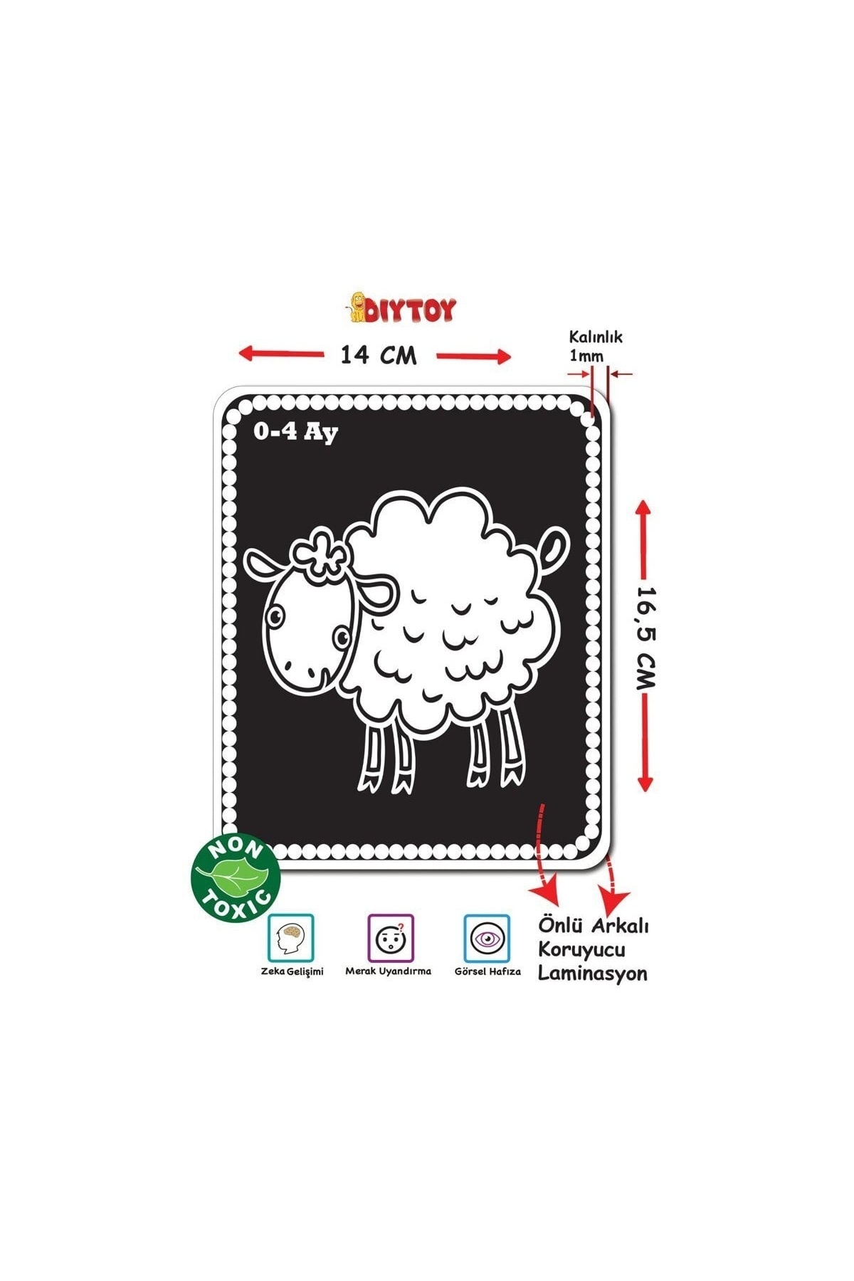 SAZE Deniz Flash Cards Bebeğimin Ilk Zeka Kartları - fotoğrafı 3 (önizleme)