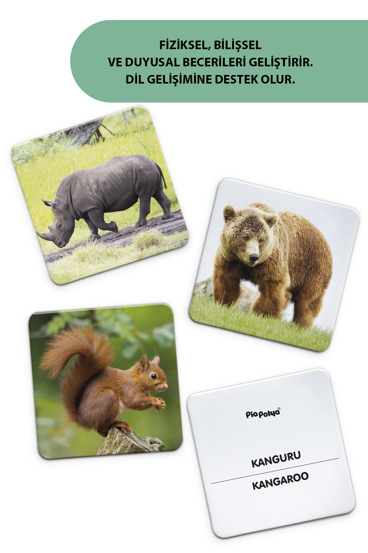 piapolya Zeka Gelişim Kartları | 16 Adet | Mukavva fotoğrafı 4 (önizleme)