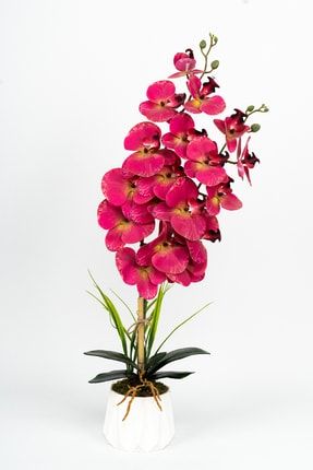 2 Dallı Yapay Islak Orkide MVR-YPY-235