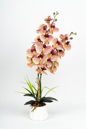 2 Dallı Yapay Islak Orkide MVR-YPY-235