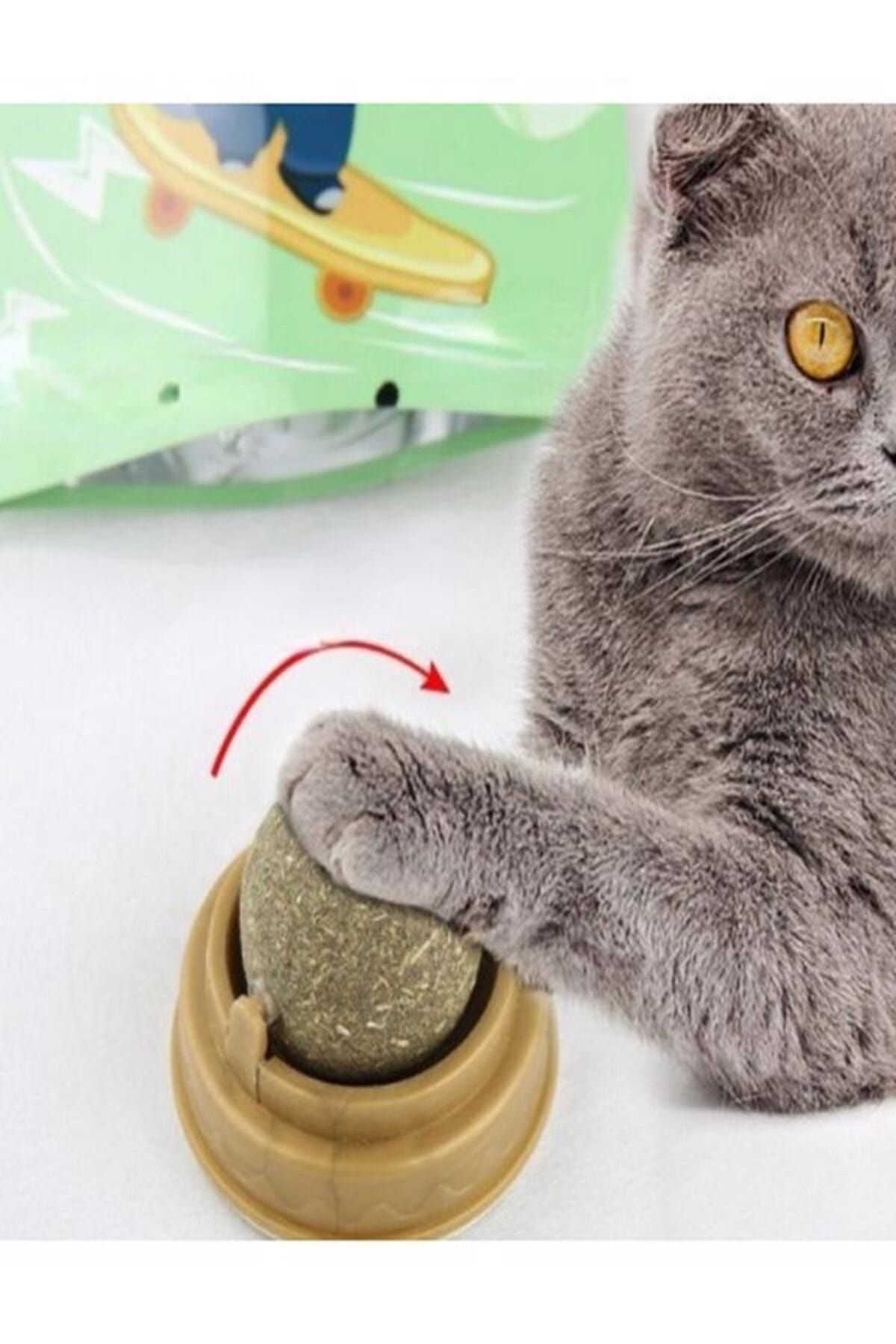 ugursepeti-Natural Catnip Edible Catnip Herb Play Ball Toy Cat Mint Ball Toy 6