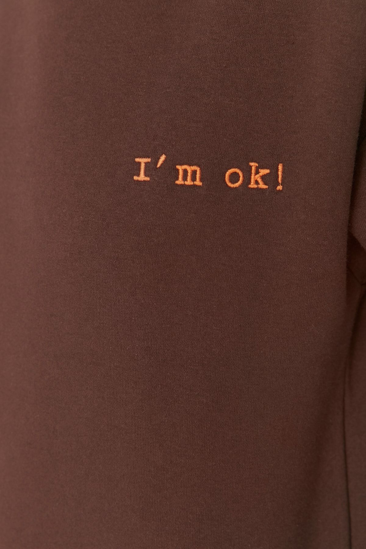 Trendyol Collection-Hnědá tlustá fleece uvnitř Regular/Normal Fit Slogan Vyšívaná pletená mikina TWOAW21SW1061 8