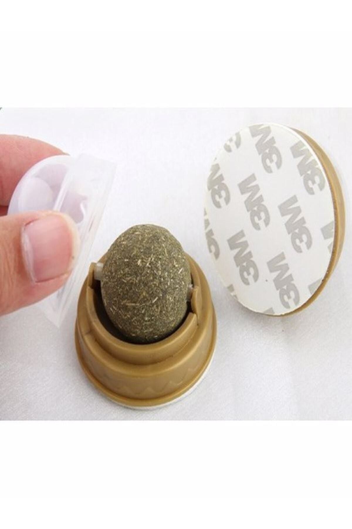 ugursepeti-Natural Catnip Edible Catnip Herb Play Ball Toy Cat Mint Ball Toy 5