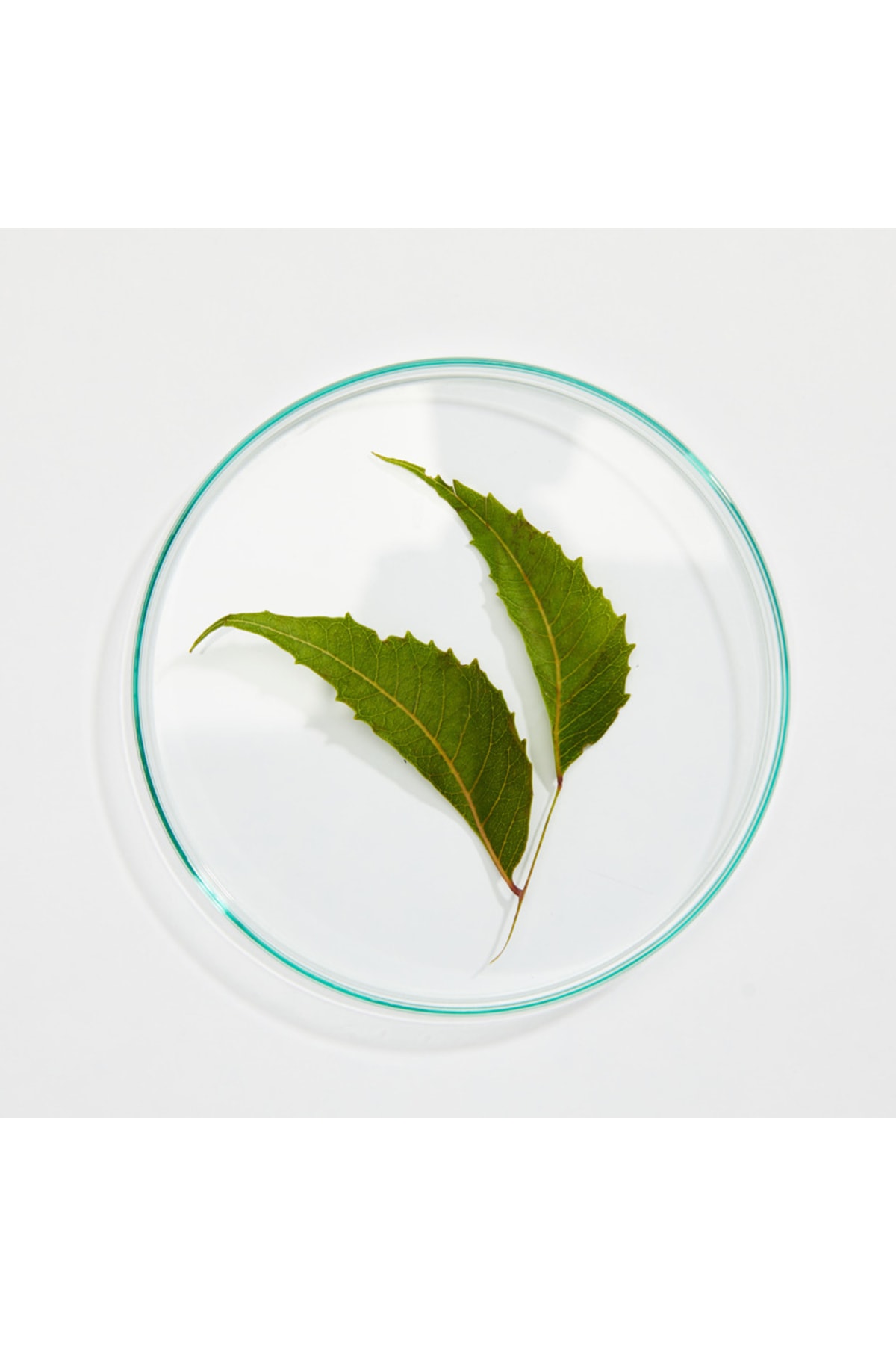 پاک کننده صورت   Botanicallab | 5.01201E+12 اورجینال - تصویر 3