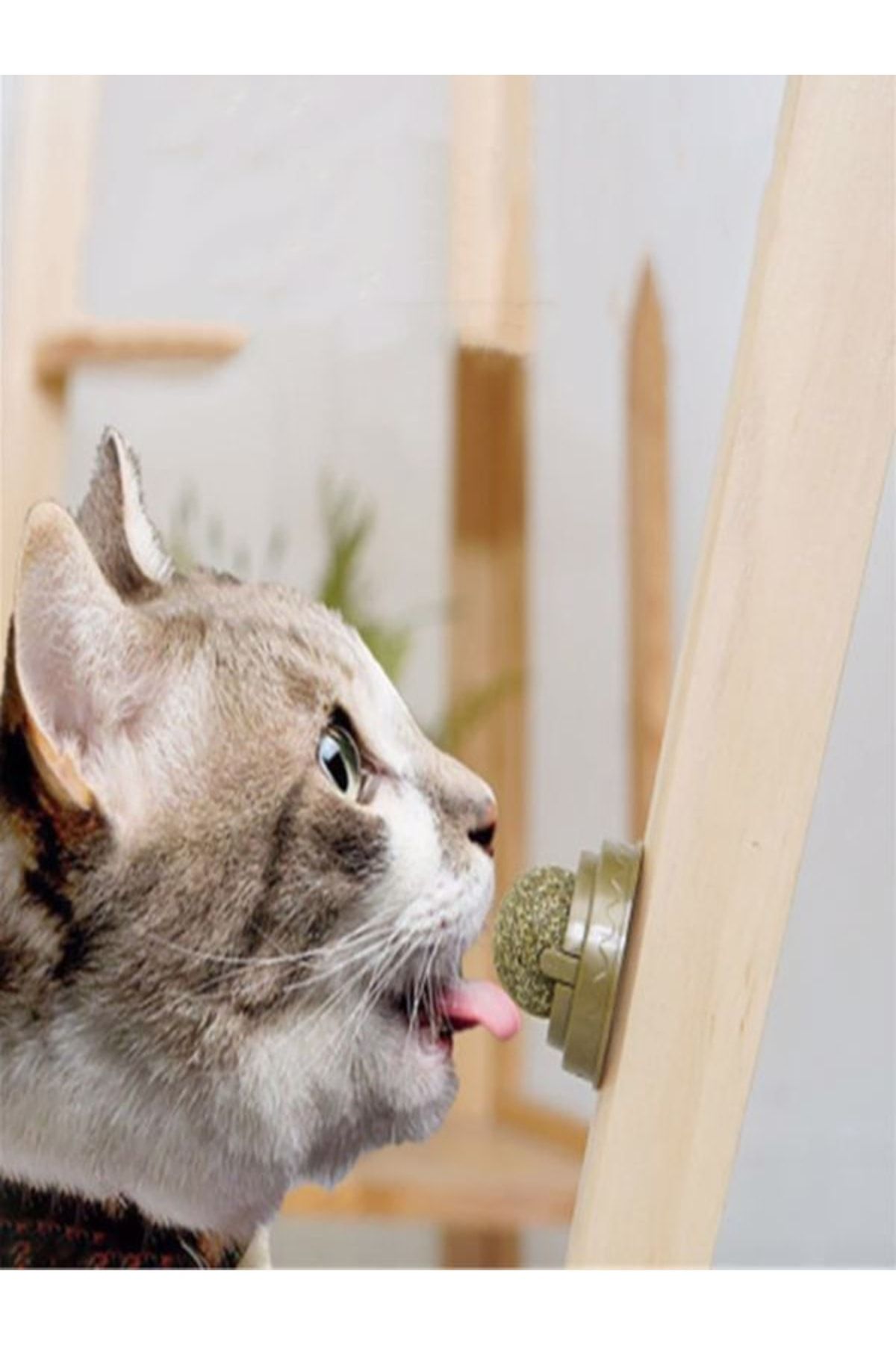 ugursepeti-Natural Catnip Edible Catnip Herb Play Ball Toy Cat Mint Ball Toy 2