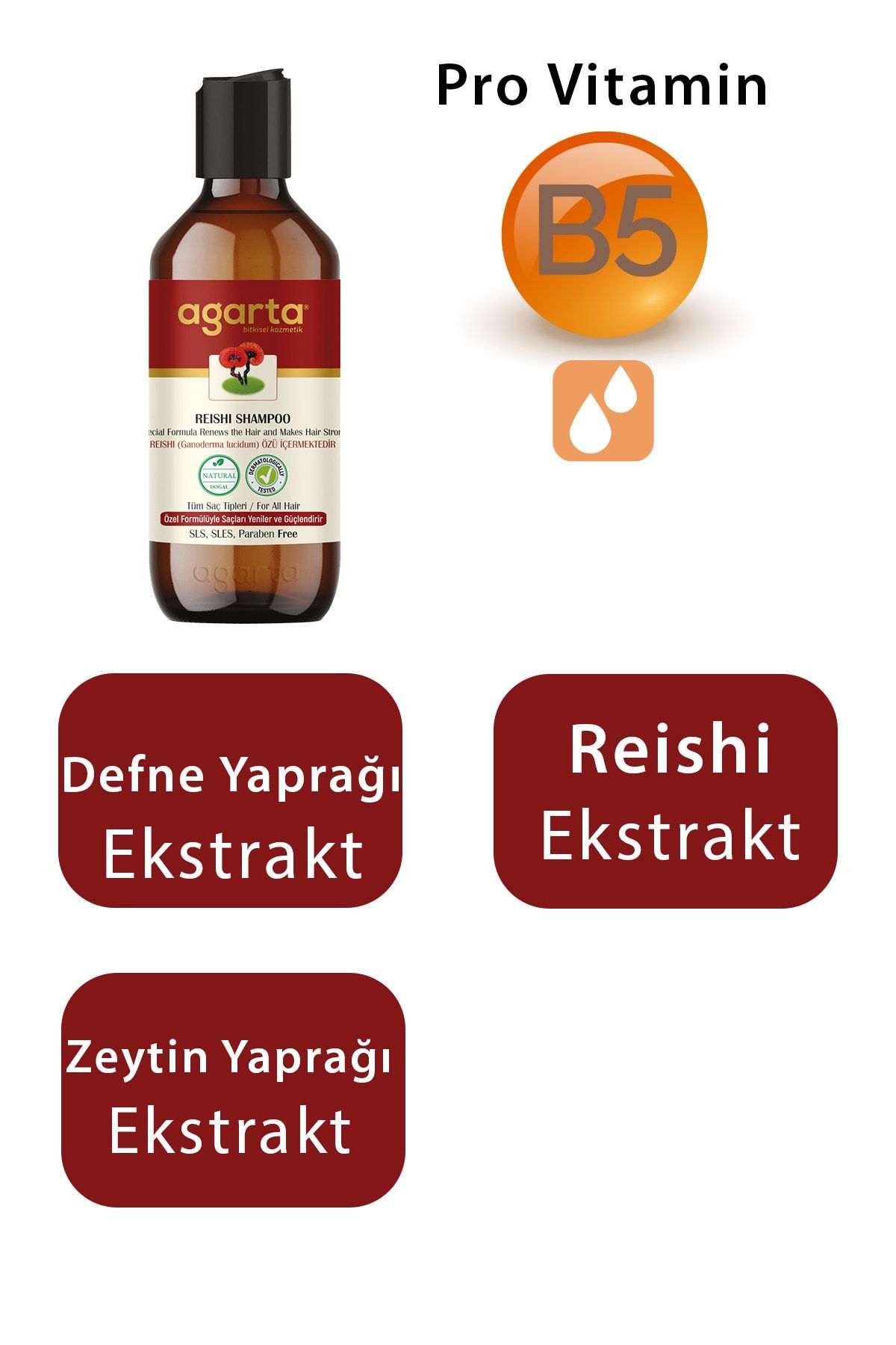 Agarta-400 ml Natural Reishi Extract Shampoo 3
