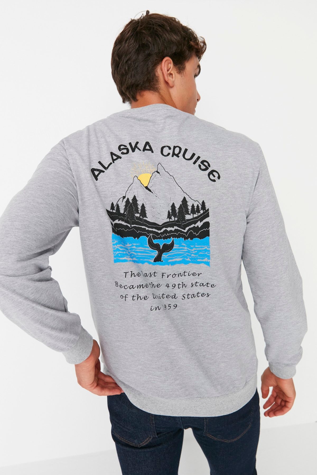 Trendyol Collection Sweatshirt Grau Regular Fit
